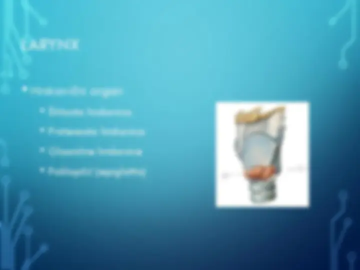 pf13