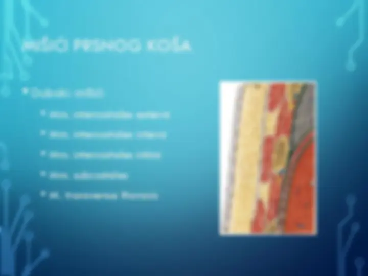 pf20