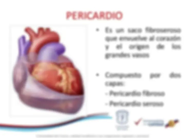 pfa