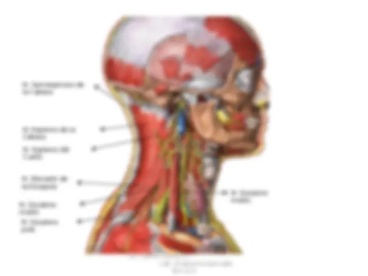 pfa