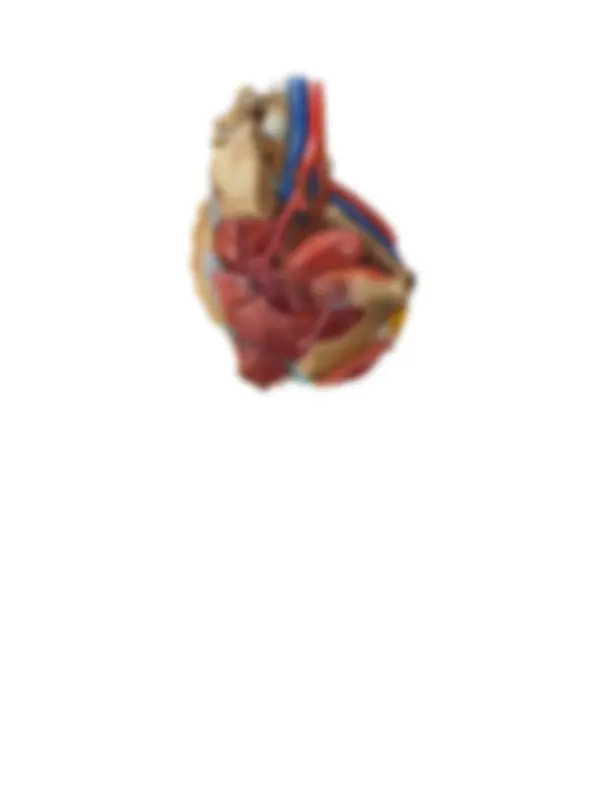 pfa