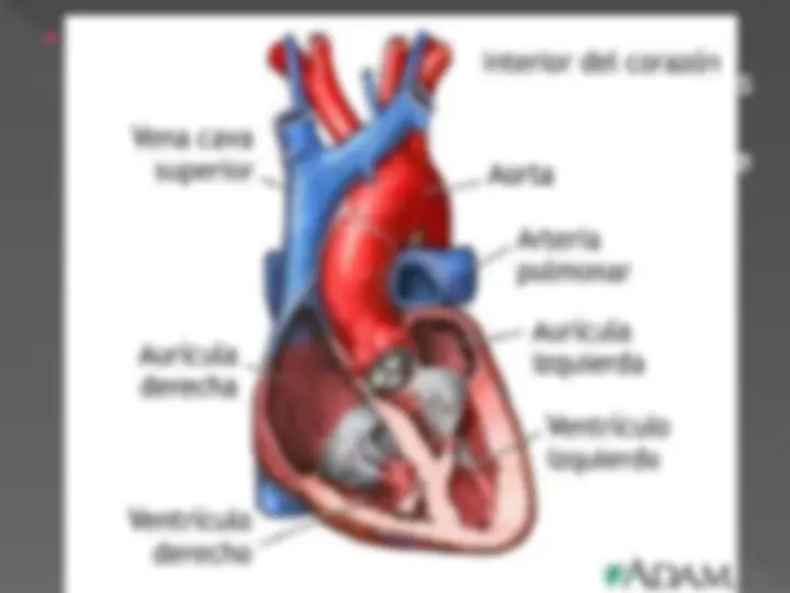 pf3
