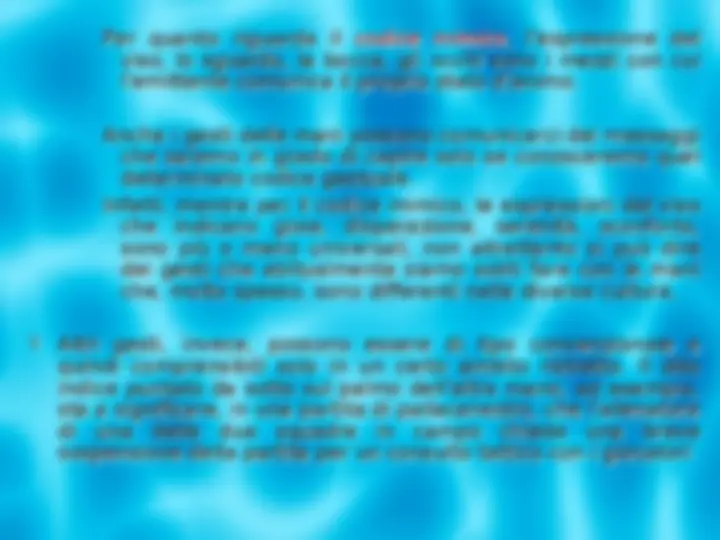 pf24