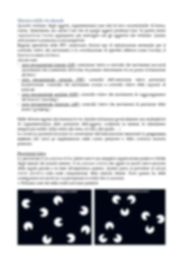 pf29