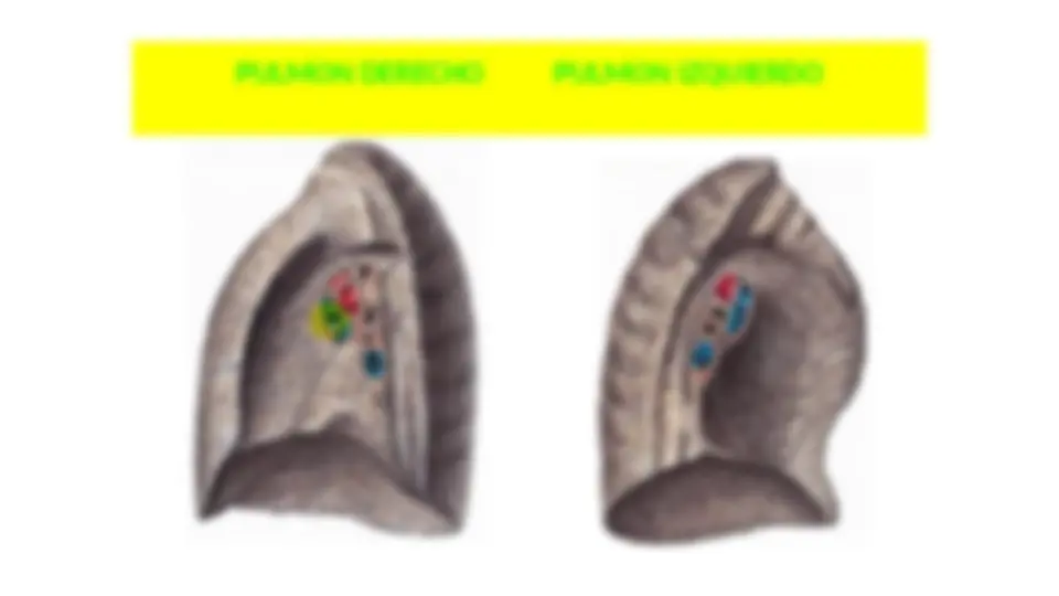 pf13