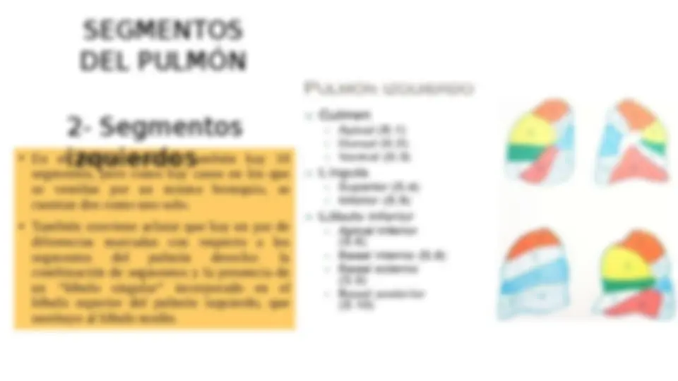 pf16