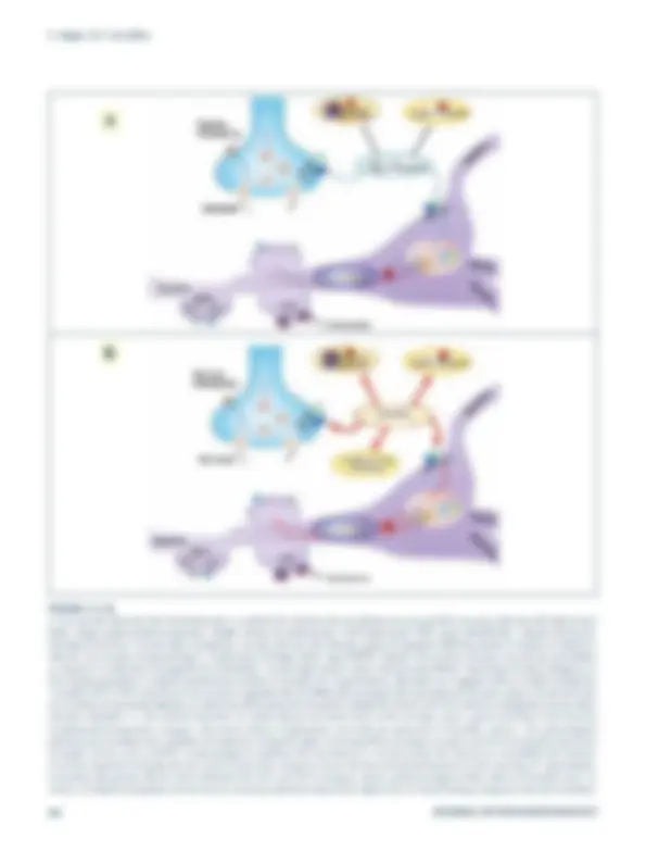 pf4