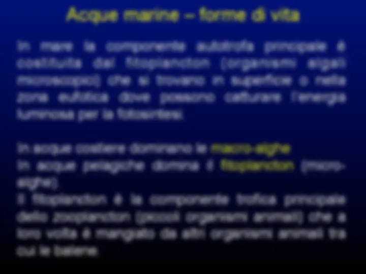 pf21