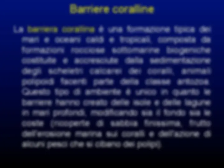 pf24