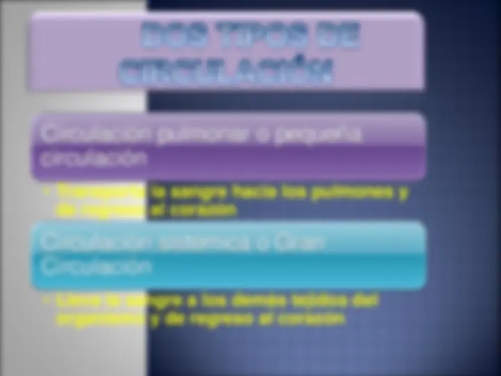 pf5
