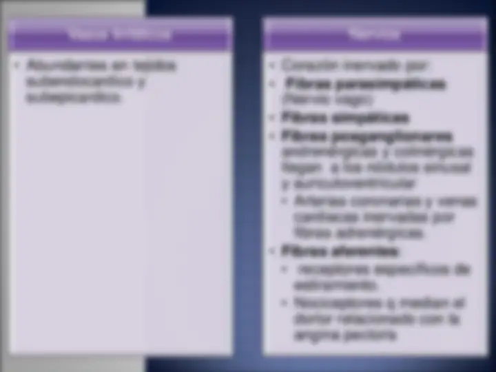pf33