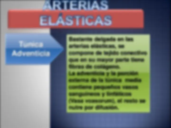 pf13