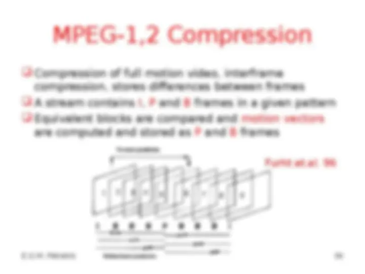 pf24
