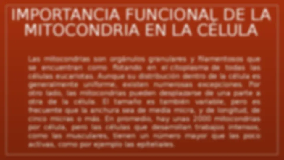 pf17