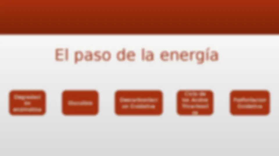 pfe