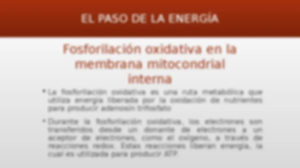pf12