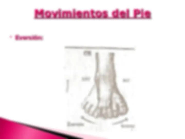 pf44