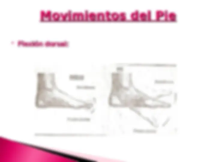 pf46