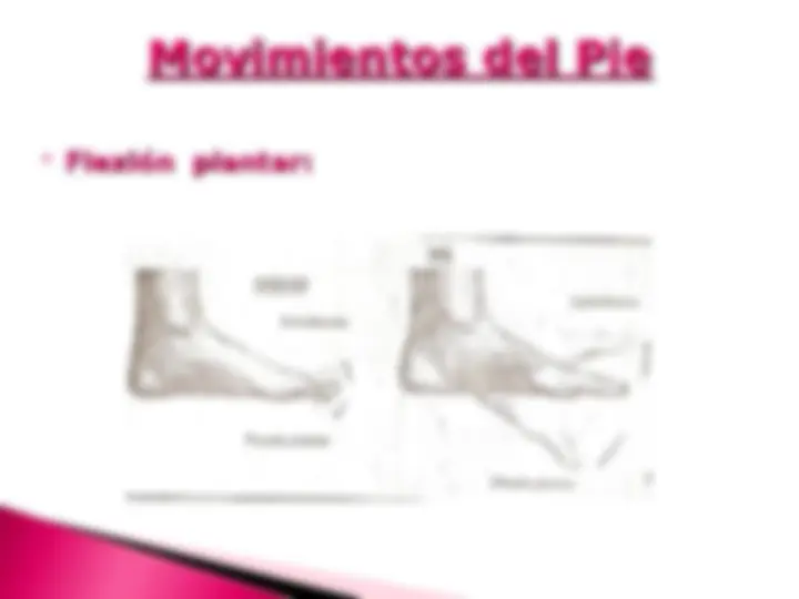 pf47