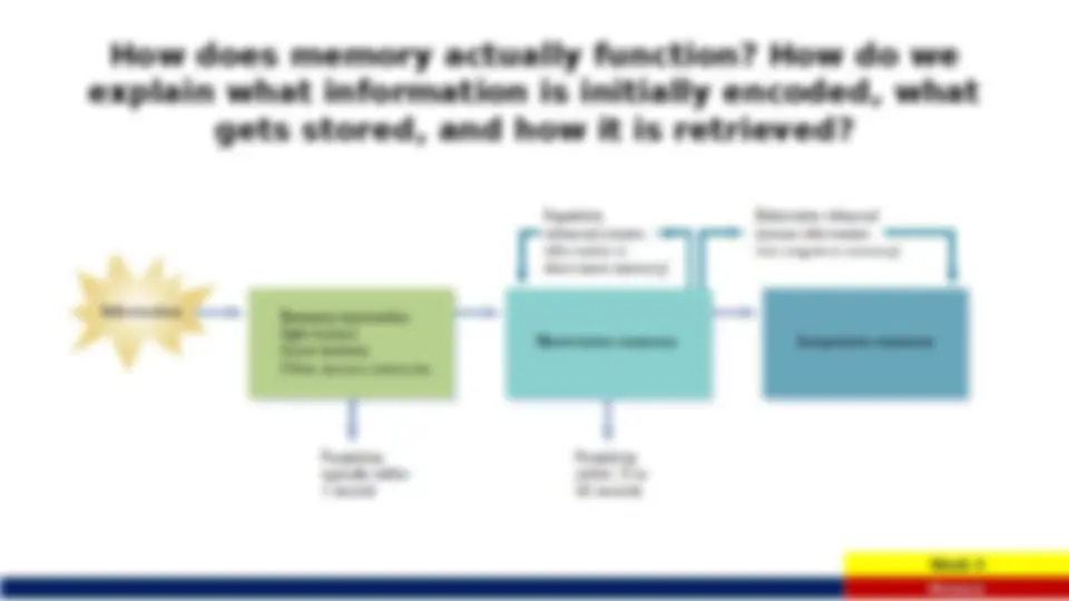 Memory psychology lacture notes | Lecture notes Psychology | Docsity