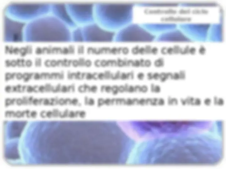 pf16