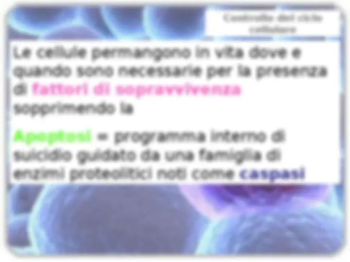 pf13