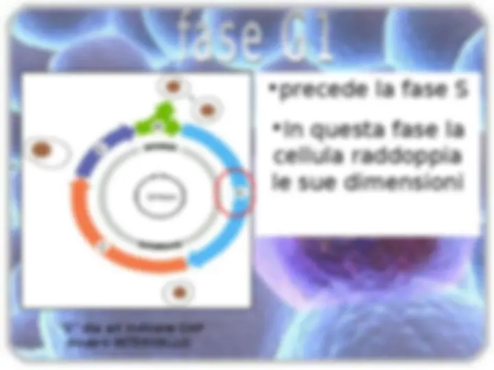 pf4