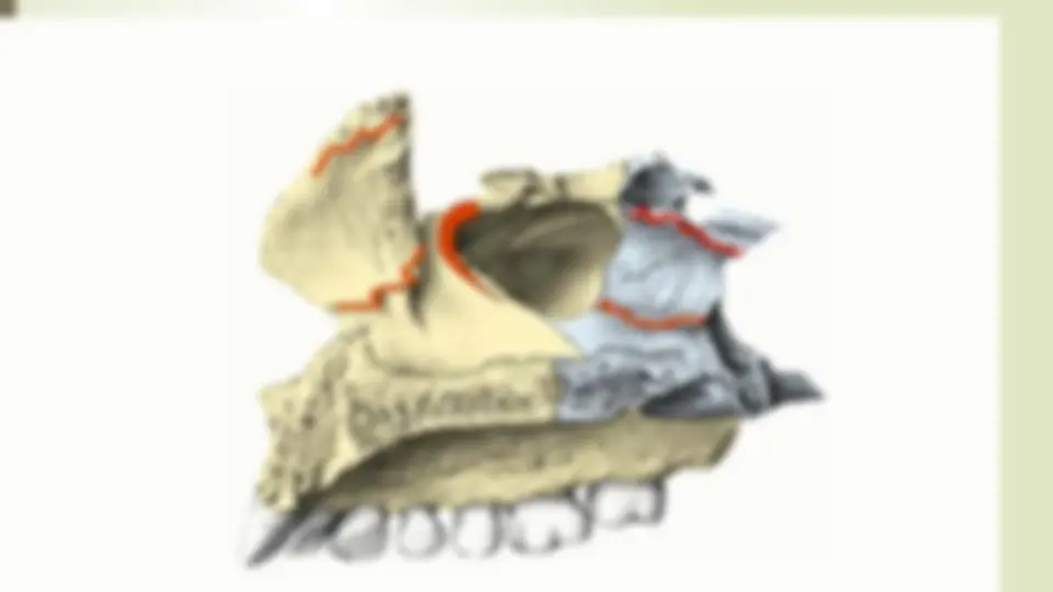 pf4