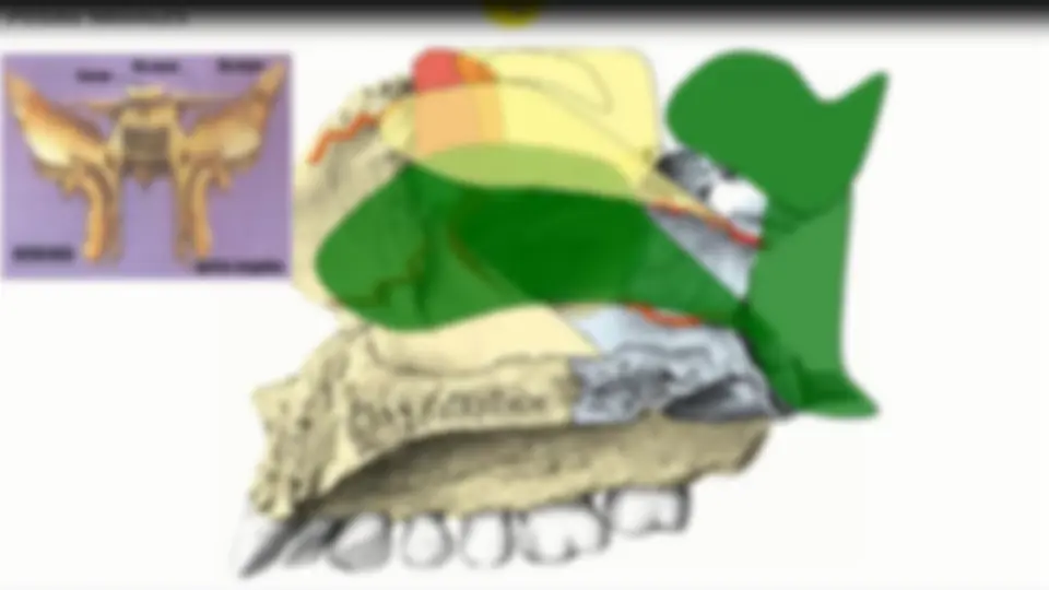 pf8