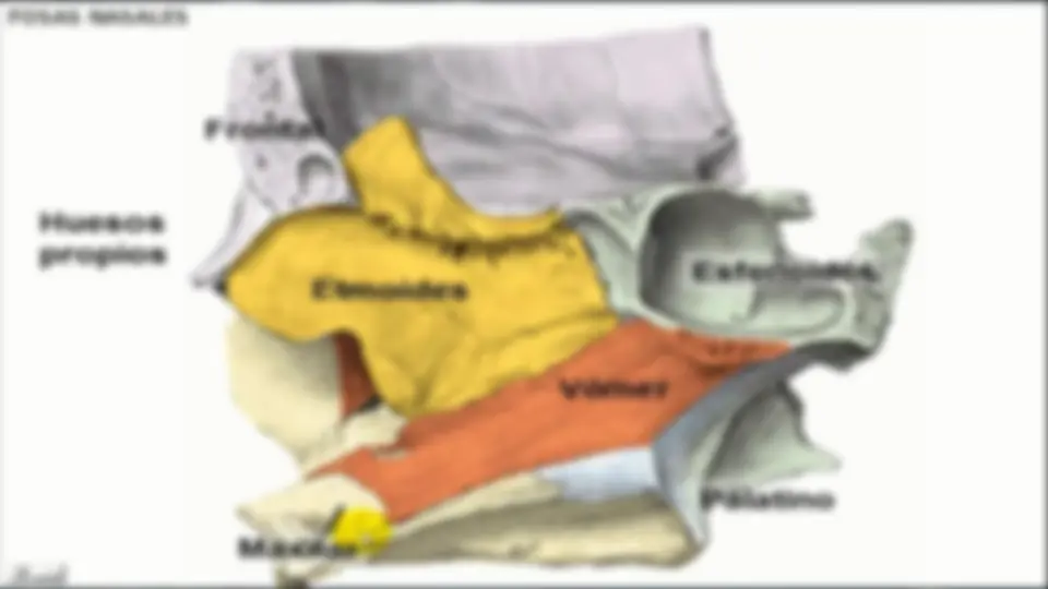 pfa