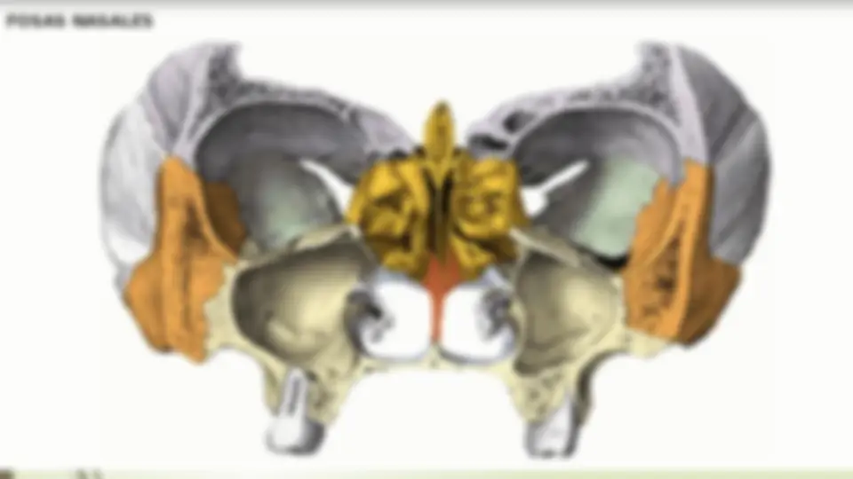 pf3