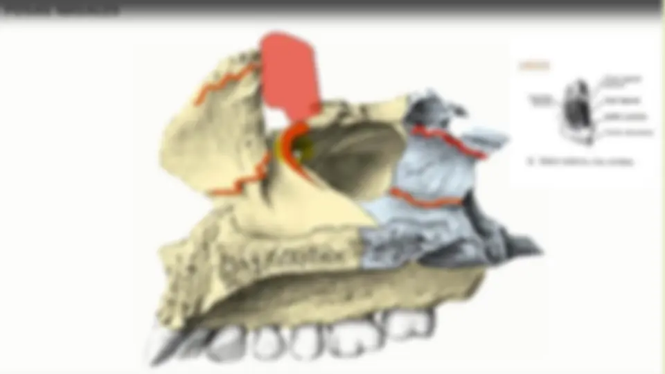 pf5