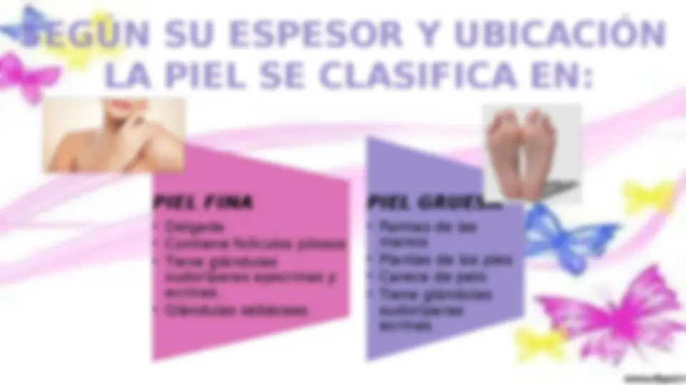 pfe