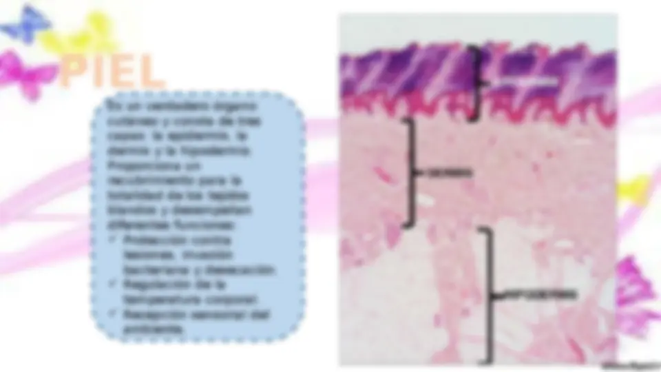 pf3
