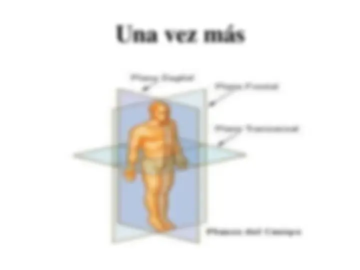 pfd