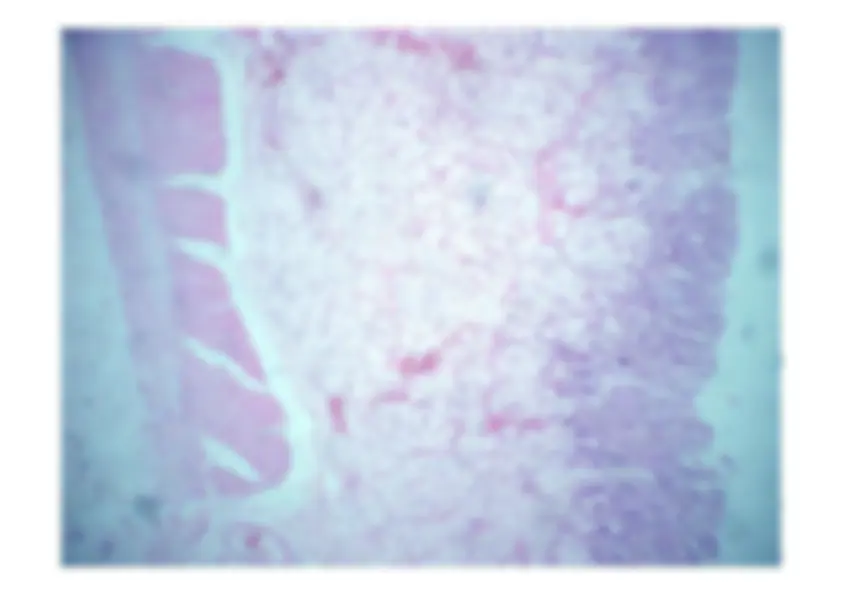 pf12