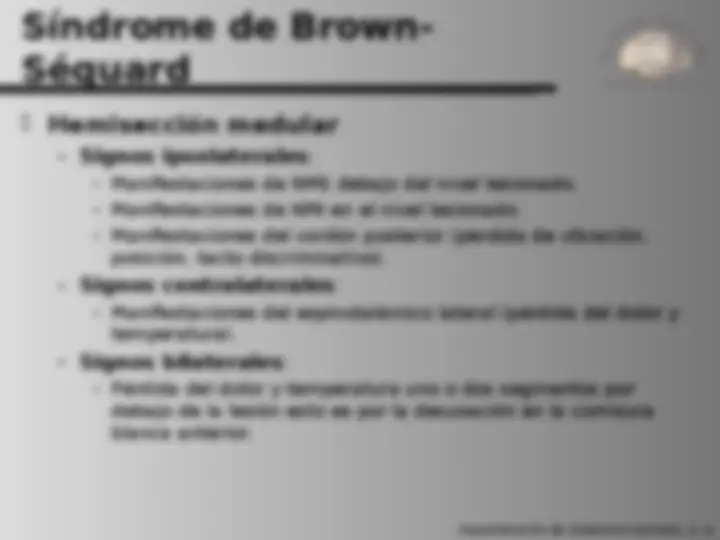 pf19