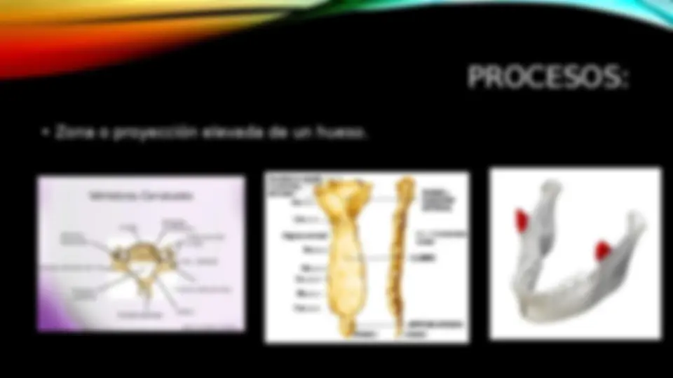 pf16