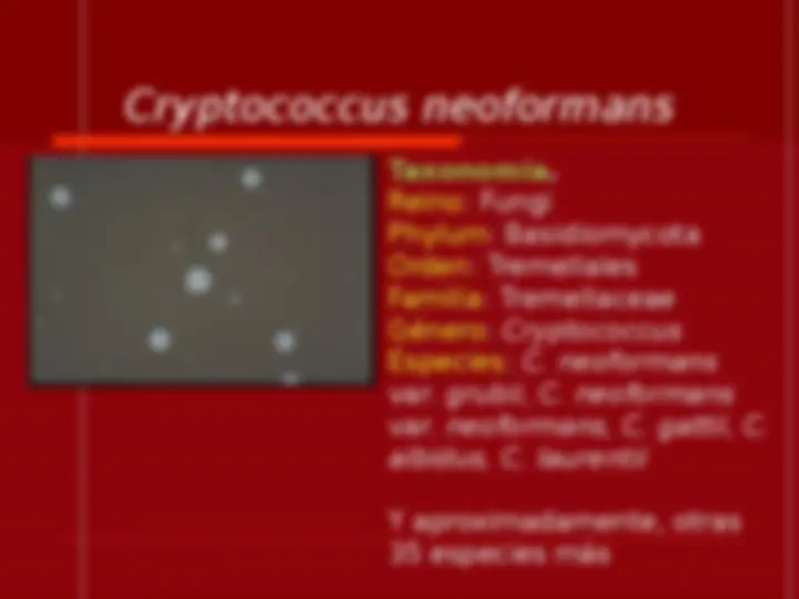 pf5