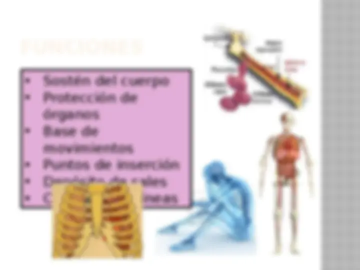 pf4