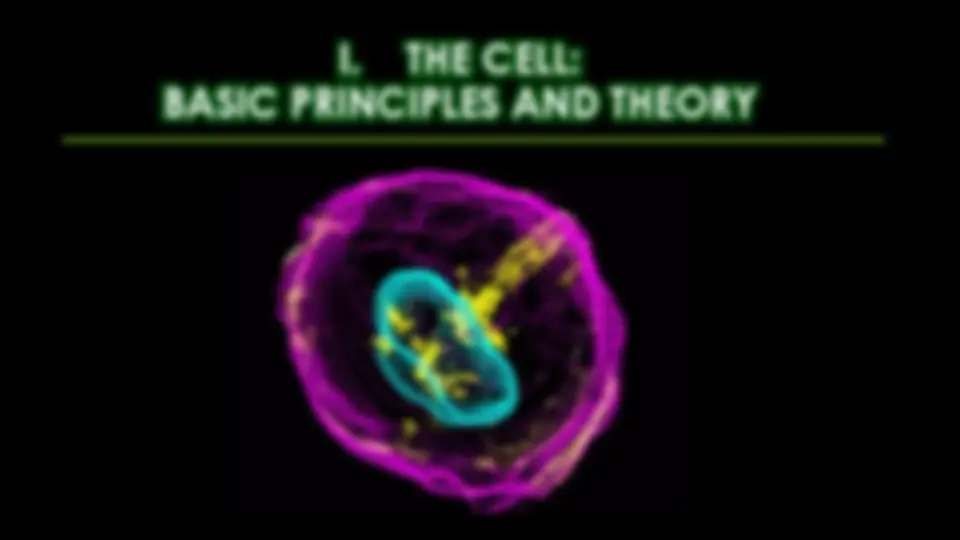 pf3