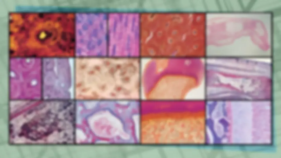 pf54