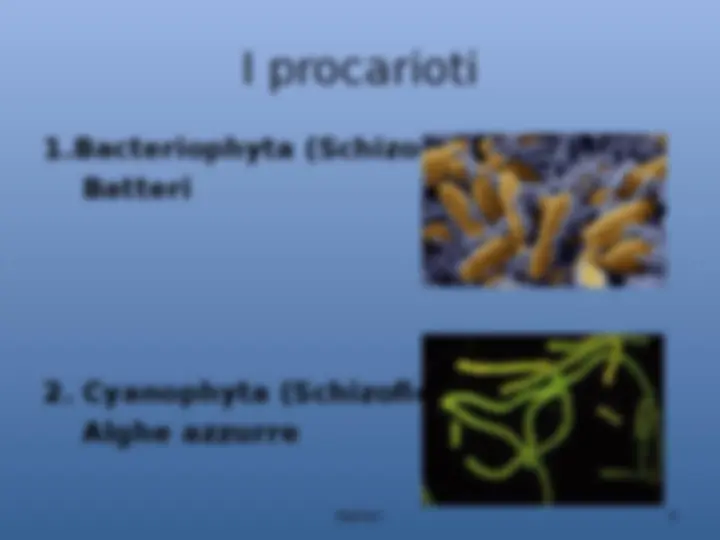 pf4
