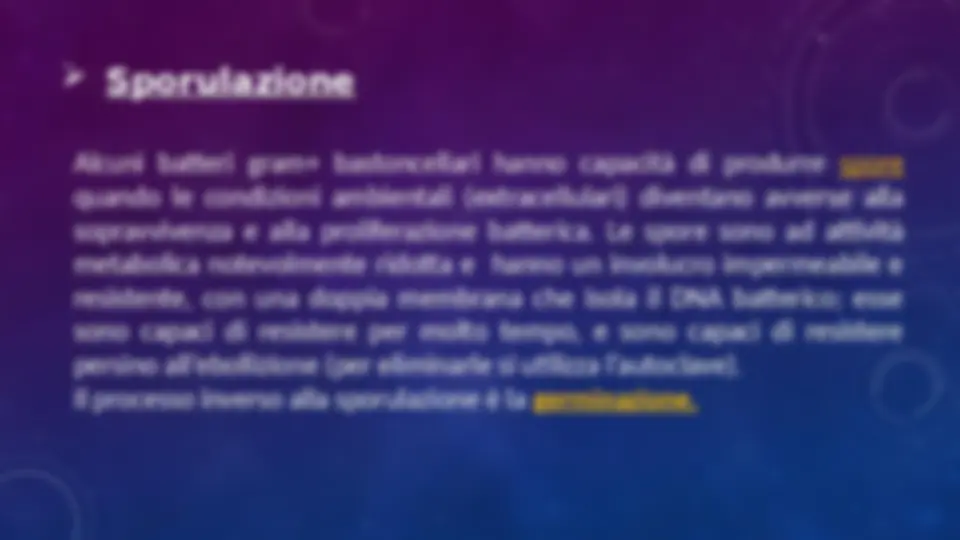 pfe