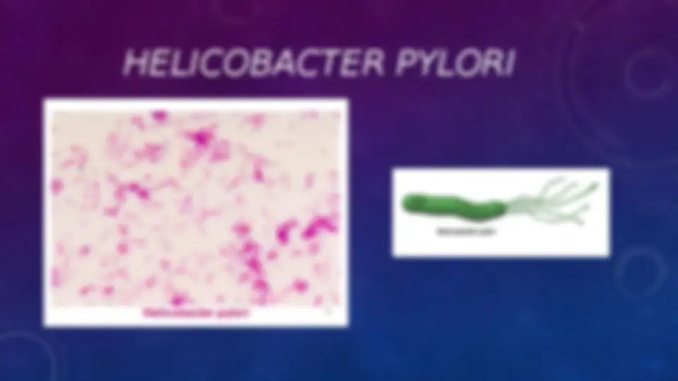 pf28