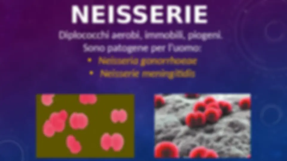 pf1f