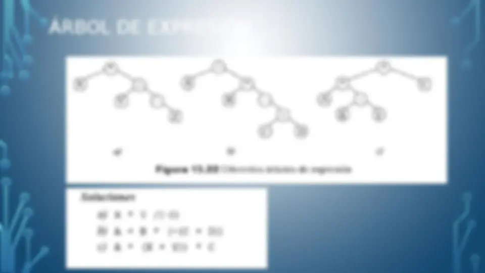 pf23