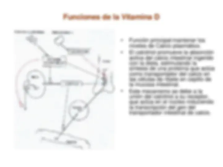 pf38