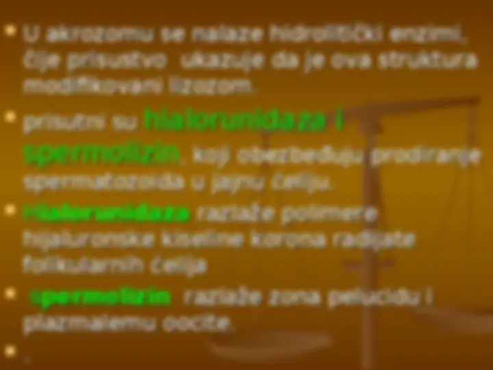 pf1e
