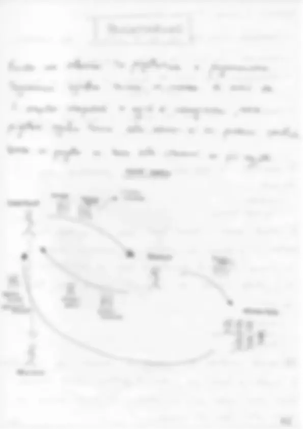pf2f